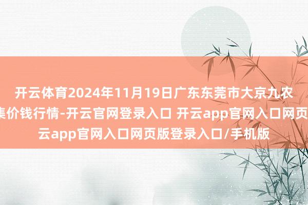 开云体育2024年11月19日广东东莞市大京九农副居品中心批发市集价钱行情-开云官网登录入口 开云app官网入口网页版登录入口/手机版